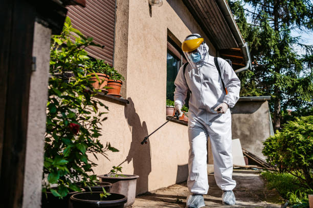 Best Affordable Pest Control Services  in Pembroke Pines, FL