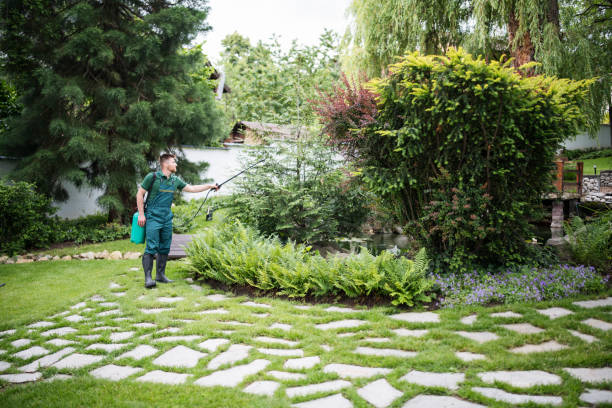 Best Mosquito Control Services  in Pembroke Pines, FL